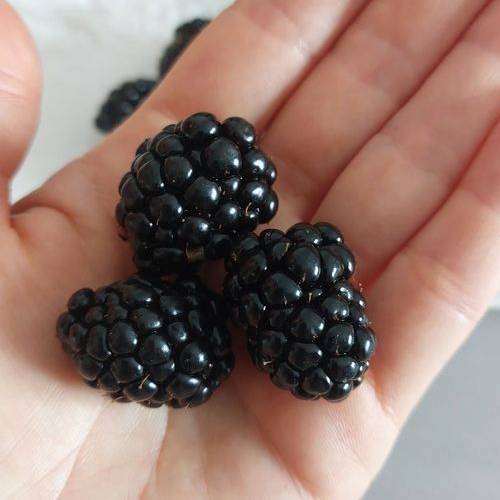 Mûre Triple crown Les bons plants du Quercy