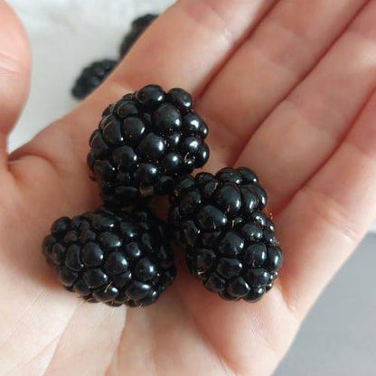 Mûre Triple crown Les bons plants du Quercy